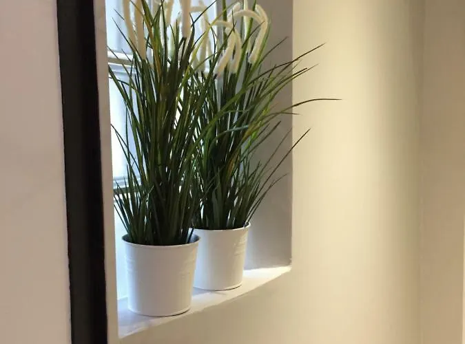 Nyaraló Cinema Video-projecteur Et Garage